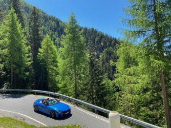 IMG_9649.jpeg