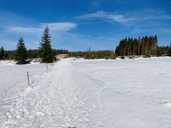 1B2AC2C0-8057-4E39-B700-4B19EB965D14.jpeg