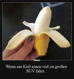 a6e2c57d3fb56d4fad0f4b3d49e099486557.jpg