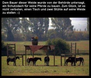 7Unbenannt - Kopie.JPG