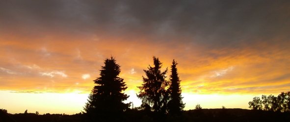 Skyline.jpg