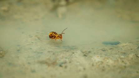 C28F065D-8C23-425C-B2E8-7719E52E1A03.jpeg
