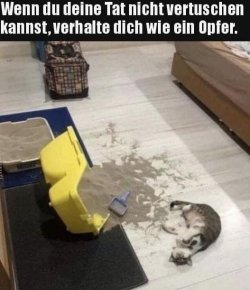 tUnbenannt - Kopie.JPG