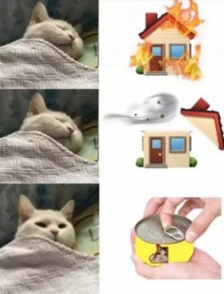 1645772189853.jpeg