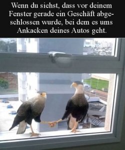 1Unbenannt - Kopie.JPG