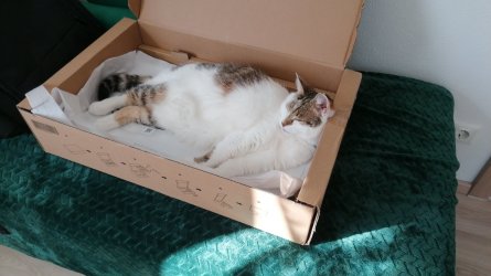 IMG-20220304-WA0000.jpeg