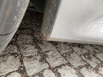 8A255921-1D19-4725-AF2F-56E15C292FCF.jpeg 8A255921-1D19-4725-AF2F-56E15C292FCF.jpeg