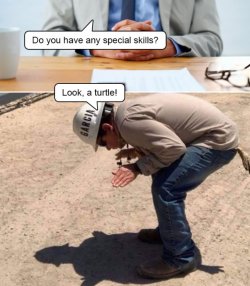 B001AA4E-429D-44D5-9D09-E5CA976C10C1.jpeg