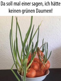 5Unbenannt - Kopie.JPG