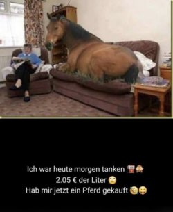 8076ACD4-5B91-46E1-80A9-968CDB3DB210.jpeg