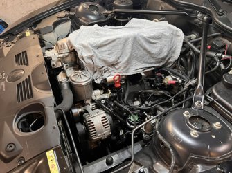 E5AA05D1-27E0-44FD-8CF0-79FE31AAF4AF.jpeg