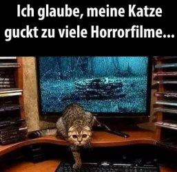 tUnbenannt - Kopie.JPG