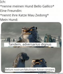 4Unbenannt - Kopie.JPG
