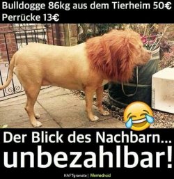 97e791b63ea9e4f742fcf6bb7764fdff.jpg