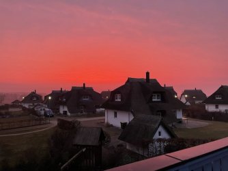 IMG_2049.jpeg