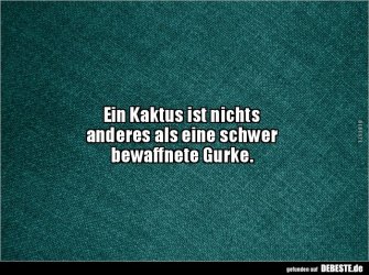 a1ddc156af1020e4947fd46a6d7d3143.jpg