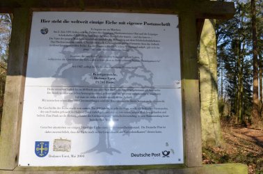 DSC_0162.jpg