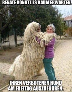 2Unbenannt - Kopie.JPG