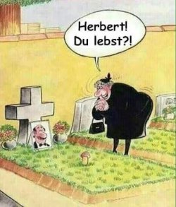 bbd4d6a928a41d97eed3ef36480fb86b--funny-cartoons-funny-things.jpg