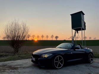 z4.jpg