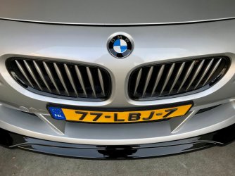 20210303 - Rosmalen V.jpg