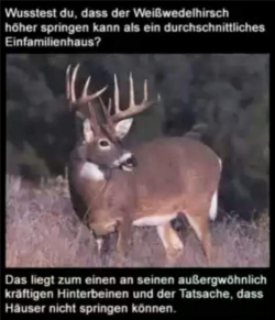 Bildschirmfoto 2022-03-31 um 19.10.40.png