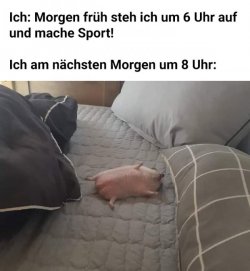 6544.jpg