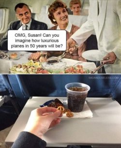 9D46C206-A2DA-4DDA-81F0-59EA49A580E3.jpeg