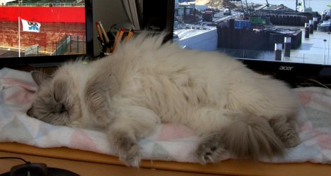 DSC_0051.jpg