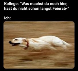 76543.jpg