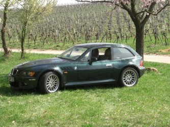 z3  im Weinberg.jpg