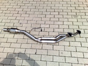 Kat eingescheist.jpg