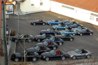 DSC_0369.jpg