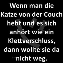 6Unbenannt - Kopie.JPG