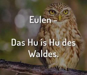 9Unbenannt - Kopie.JPG