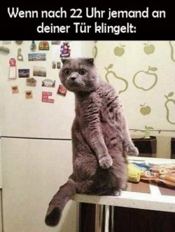 5985B4AA-A3EB-4D85-B39D-326CE962E936.jpeg