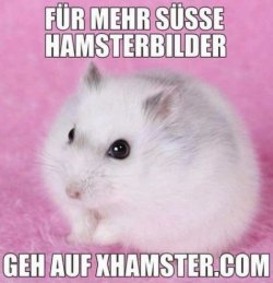 592841D3-E5ED-43B7-93D1-70C67B8C1A33.jpeg