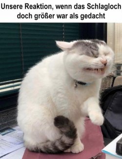 1338D555-C622-4048-A0E7-E3EC48FC4AF4.jpeg
