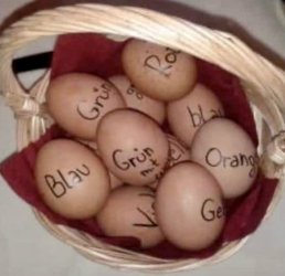 1Unbenannt - Kopie.JPG