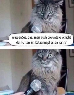3Unbenannt - Kopie.JPG