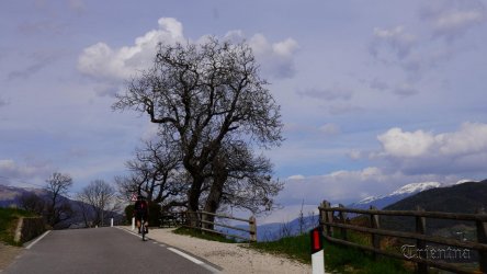 DSC05070.JPG