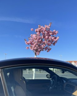 HdR_0209.JPEG