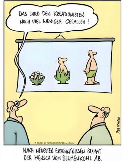 4Unbenannt - Kopie.JPG