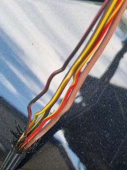 20220422_173504.jpg