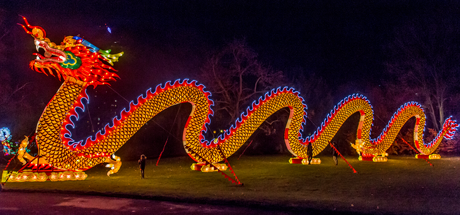 171126_China_Light_Festival_029_header.png