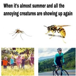 278568638_1041218133441068_4107488242732129812_n.jpg