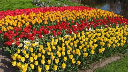 holland_06.jpg holland_06.jpg