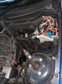 Z4 in Motorraum.jpg Z4 in Motorraum.jpg