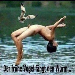 früher Vogel.jpeg