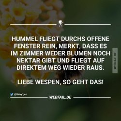 14).jpg